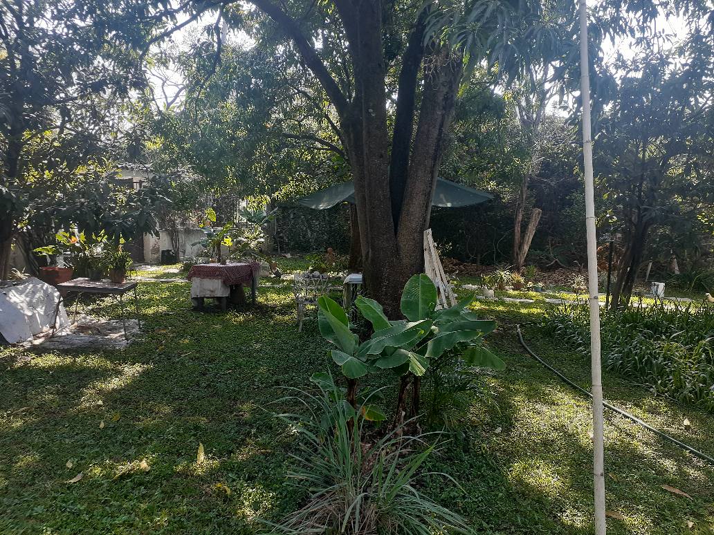 Las Fincas. Jiutepec, Mor. Fracc. Cerrado, vigilancia las 24 hrs.